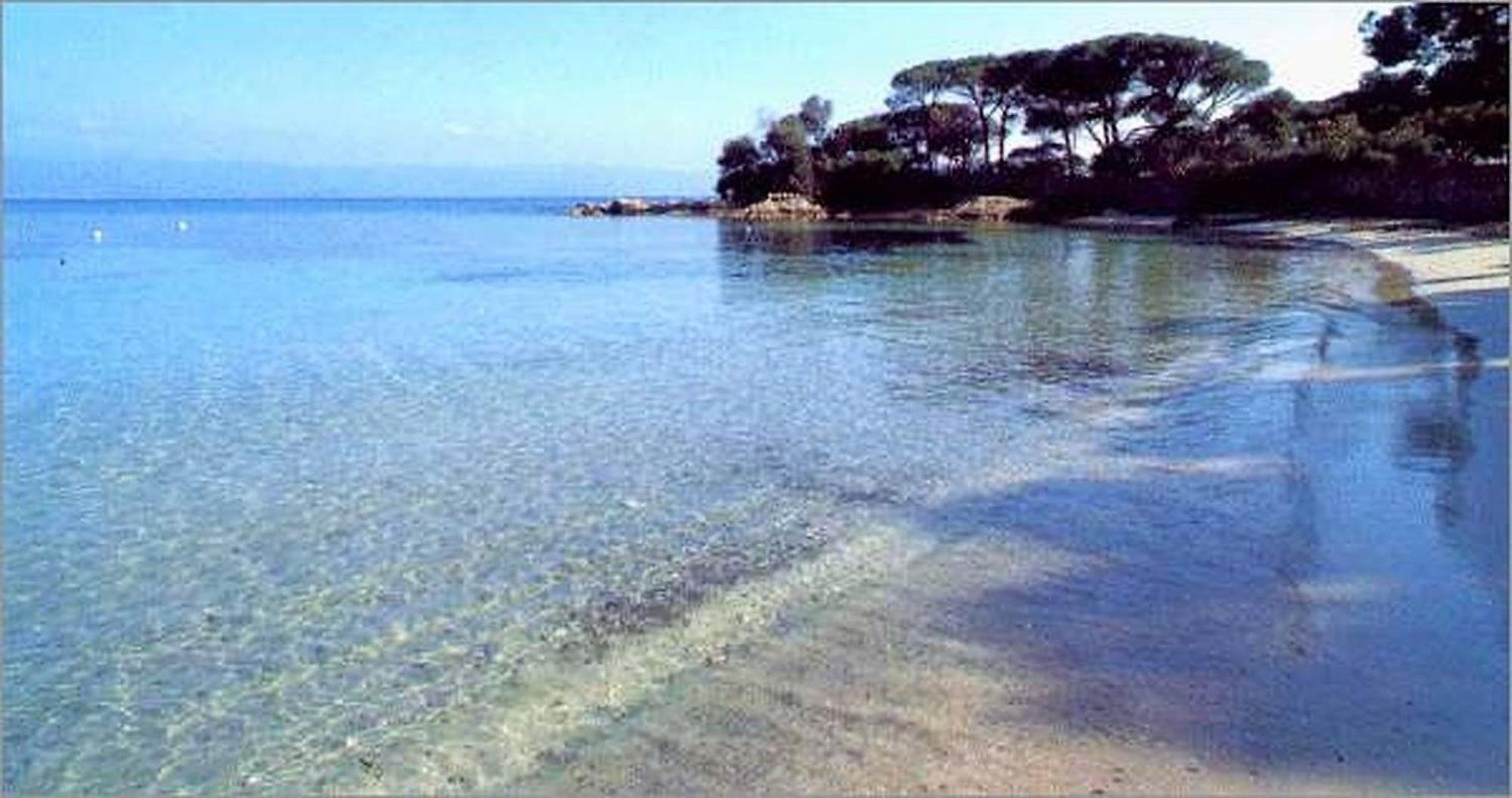 Location Corsica Apartment Ajaccio (Corsica)